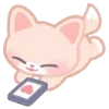 🦊