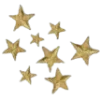 ✨