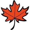 🍁