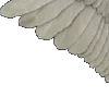 ⭐