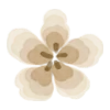 🌸