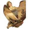 🕊️