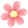 🌺