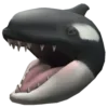 🦈