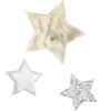 🌟