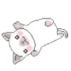 🐱