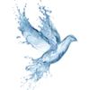 🕊️
