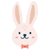🐰