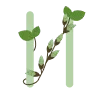 🔤