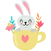 🐰