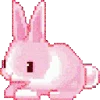 🐰