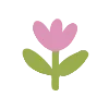 🌷