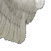⭐
