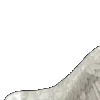⭐