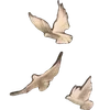 🌟
