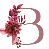 🌺