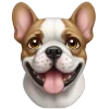 🐕