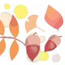 🍂
