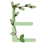 🔤