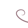 🌺