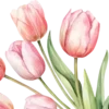 🌷