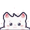 🐱