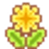 🌟