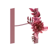 🌺