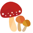 🍄