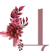 🌺