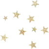 🌟