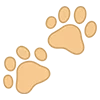 🐾