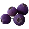 🤩
