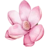 🌸