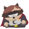 🦝
