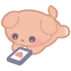 🐶