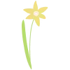 🌼
