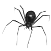🕷