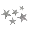 🌟