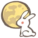 🌕