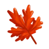 🍁