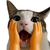 😱