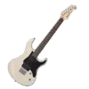 🎸
