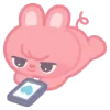 🐷