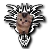 🐈