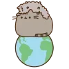 🌍