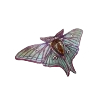 🔮