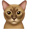 🐈