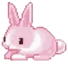🐇