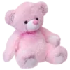 🐻